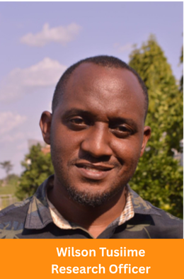 Wilson Tusiime Research Officer (1) Wilson Tusiime Research Officer (1)
